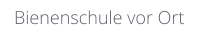 Bienenschule vor Ort